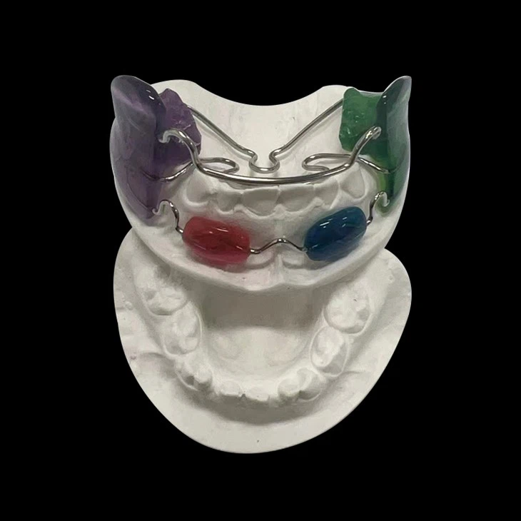 Frank Removable Denture（01）